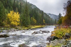 Idaho